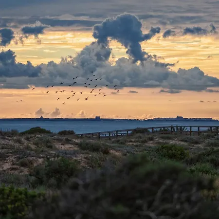 Brisa De Arenales By Martina Arenales del Sol